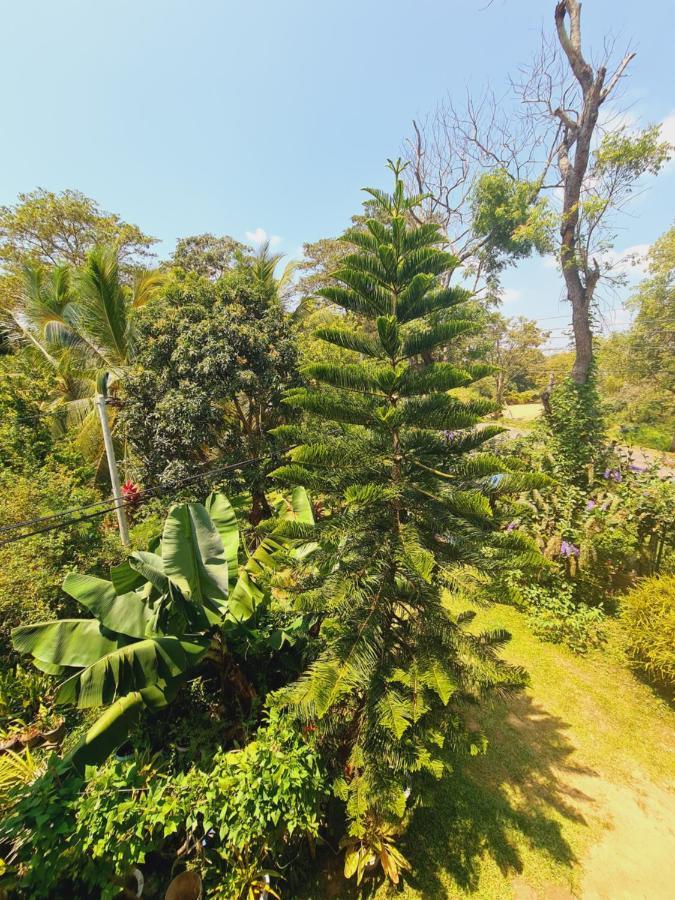 Peacock Villa Resort Udawalawe Buitenkant foto
