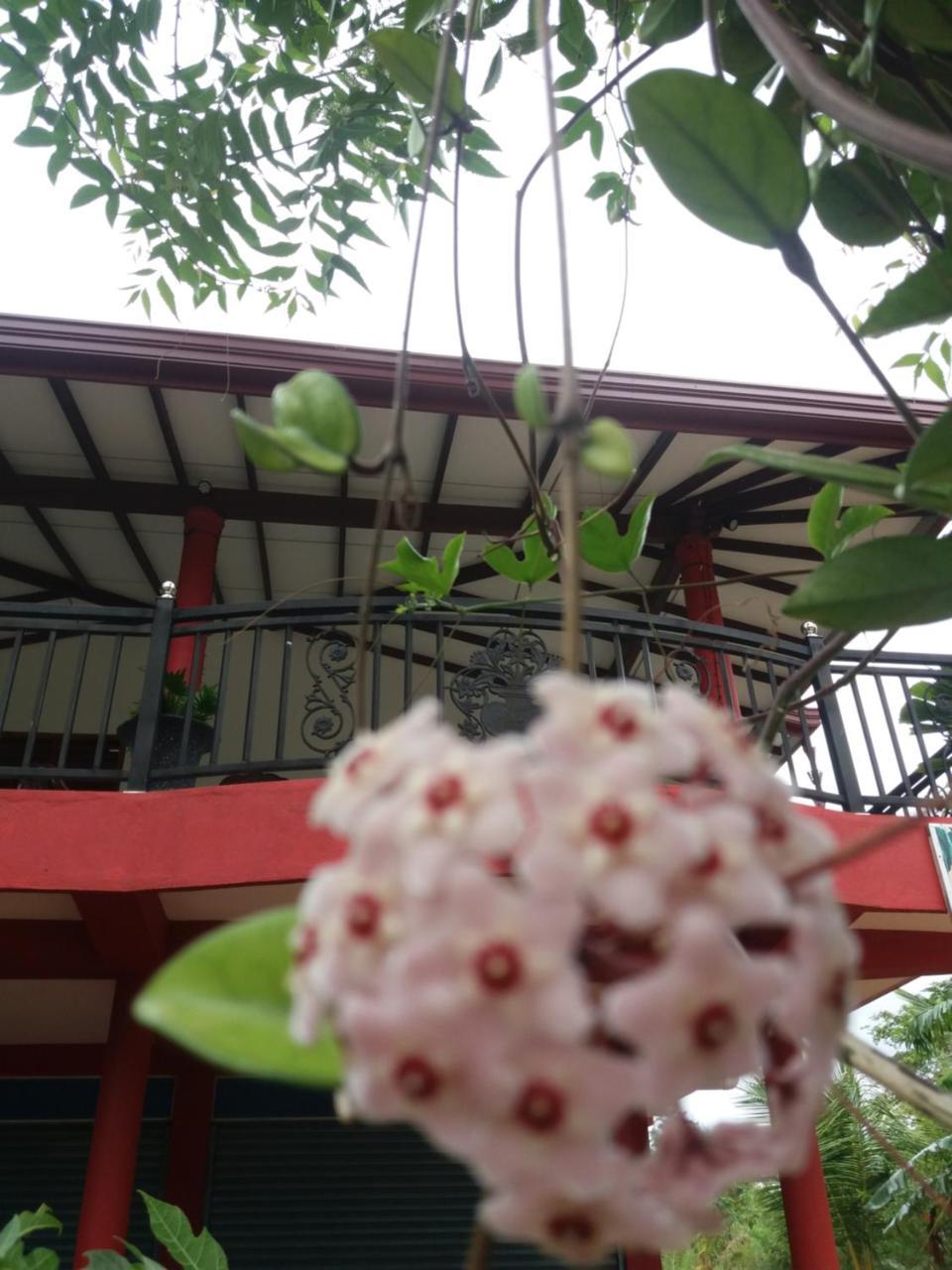 Peacock Villa Resort Udawalawe Buitenkant foto